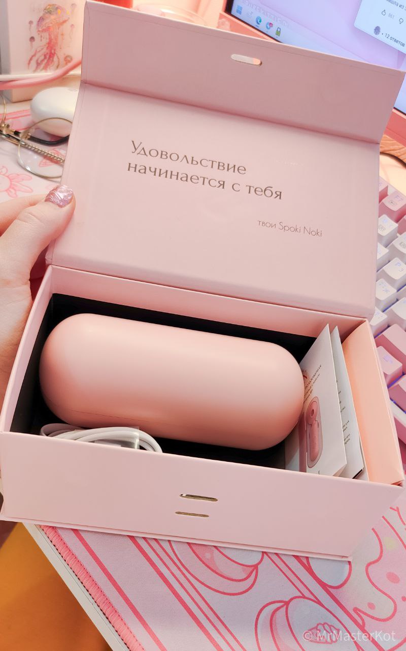 Spoki Noki — коробка с кейсом